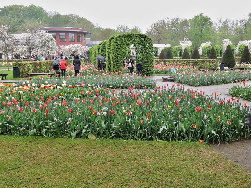 Keukenhof