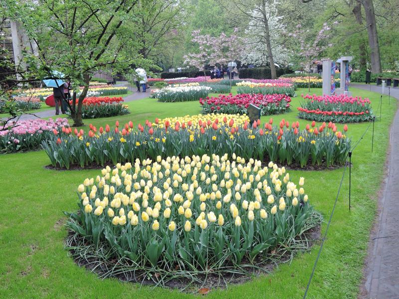 Keukenhof