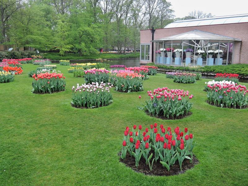 Keukenhof