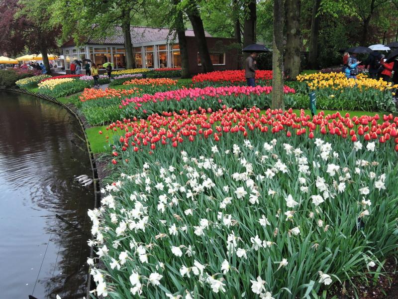 Keukenhof