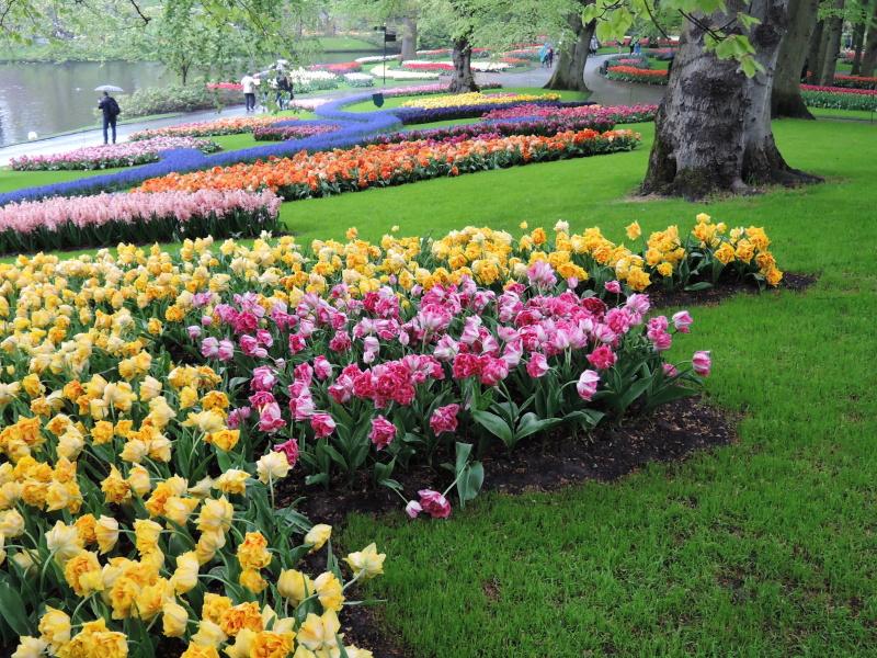 Keukenhof