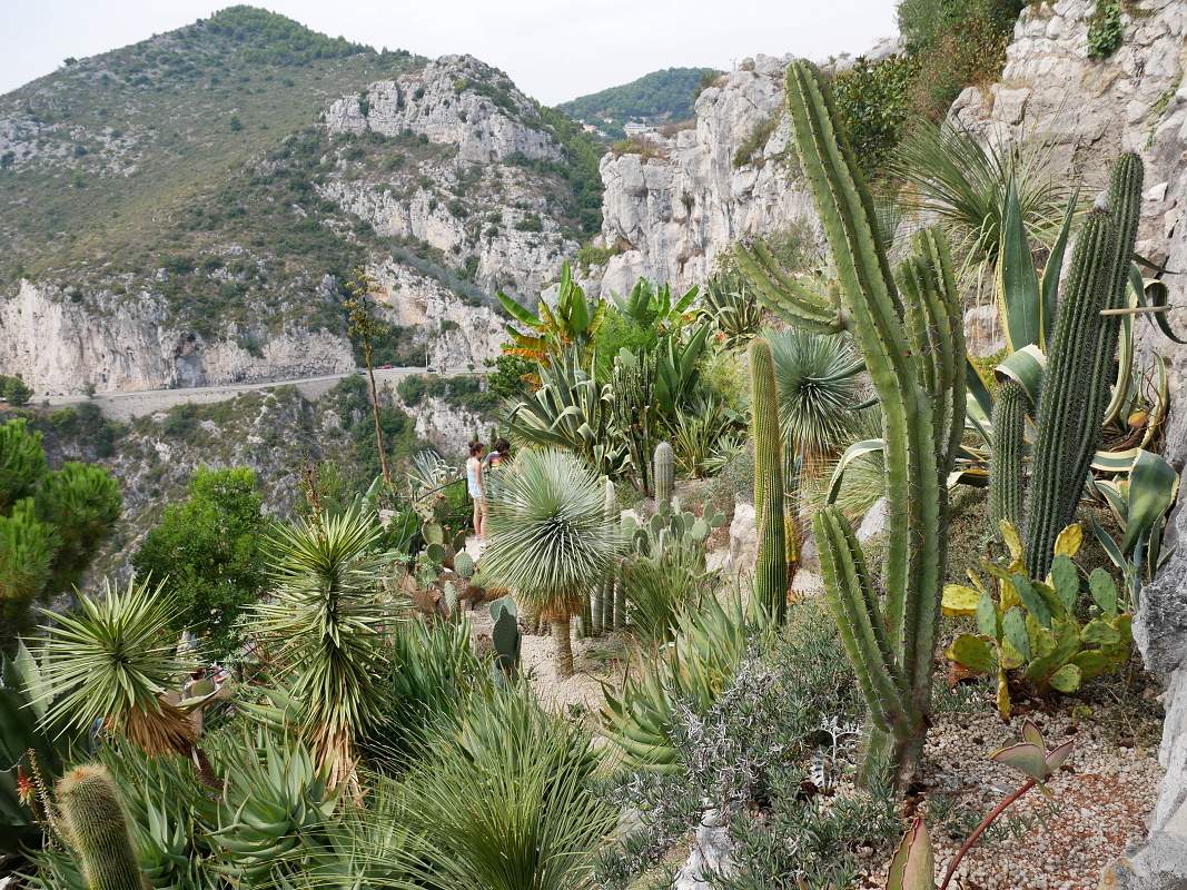 Botanick zhrada - cesta do Nice