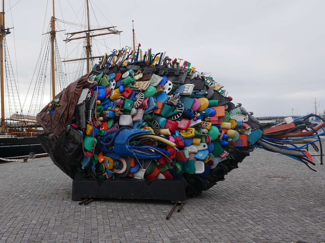 Helsingor prstav - Ryba z odpadkov