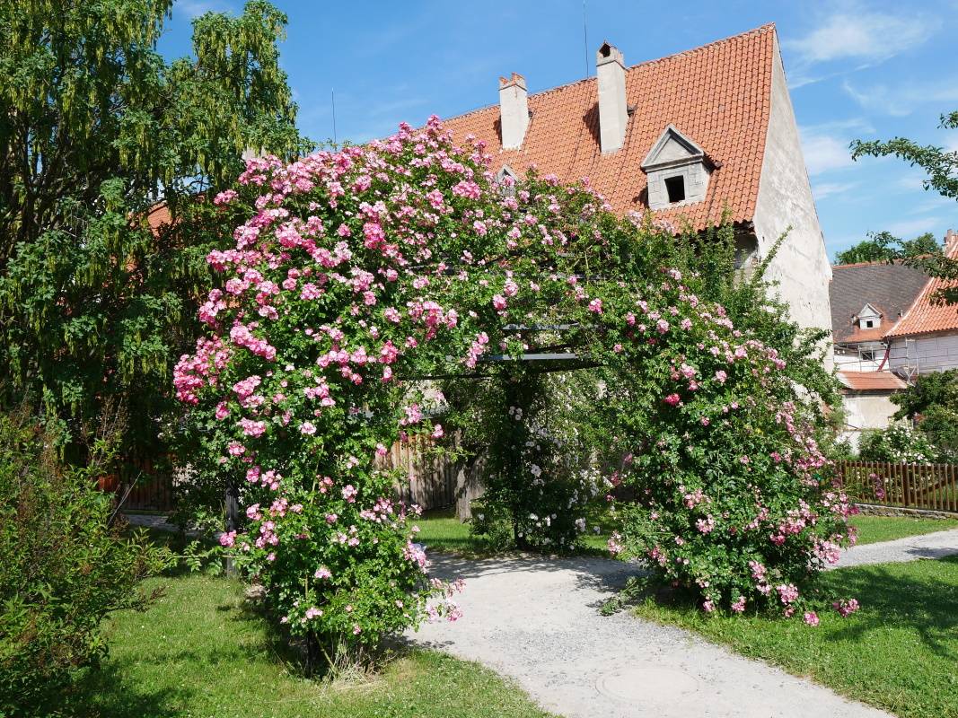 Ružový altánok v kláštorných záhradách