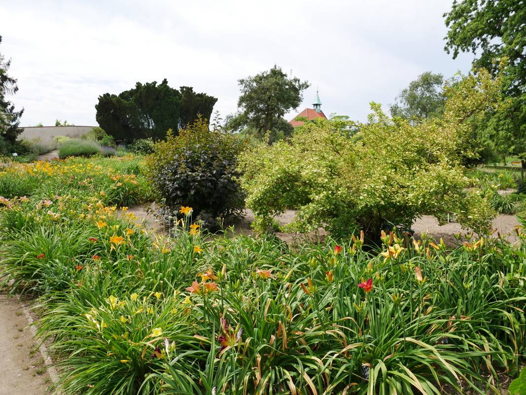 Ornamentálna záhrada