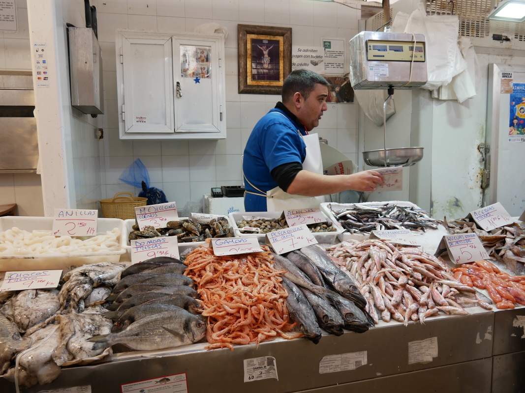 Centrlny trh - ryby akejkovek vekosti