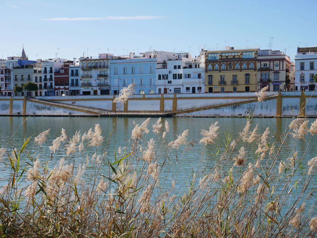 Guadalquivir a pobreie tvrti Triana