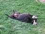 14.4.2008 - Ako malá :)