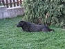 14.4.2008 - Strážkyňa