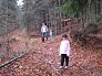 Cesta dolu