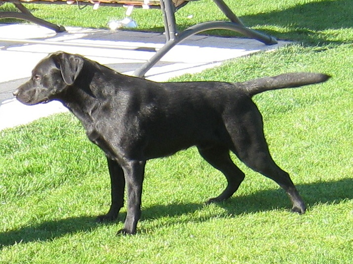 Max