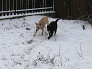 5.1.2009 - Moja je loptička