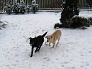 5.1.2009 - Moja je loptička