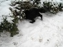 5.1.2009 - Nenájdeš ma :) 