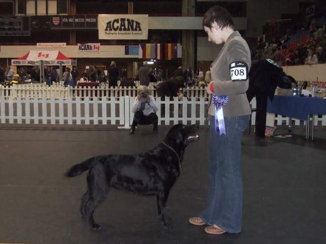Coco Chanel Something Beautiful - V1, CAC, CACIB, East Winner 2010, trieda pracovná, suky