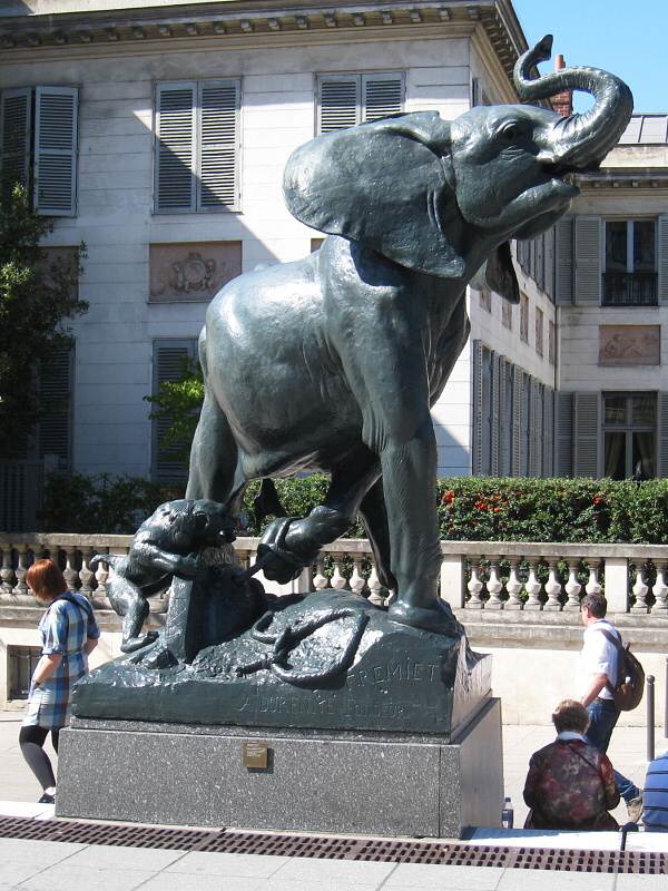 Slon pred Musée d'Orsay