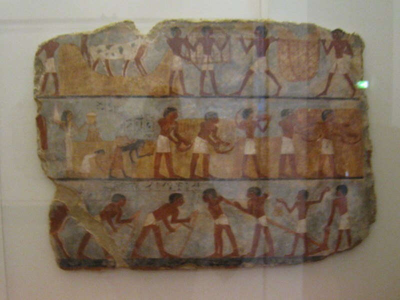 Egyptská expozícia