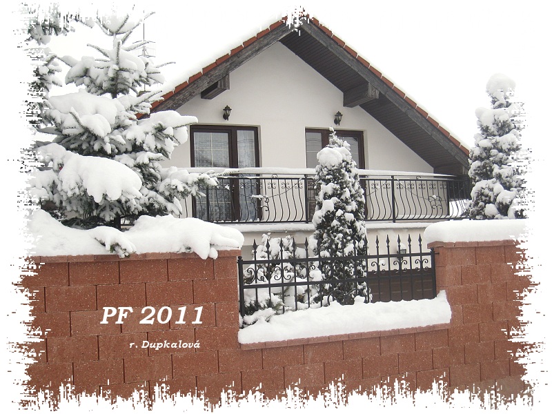PF 2011