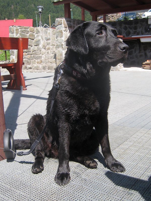 Mokrá Kora