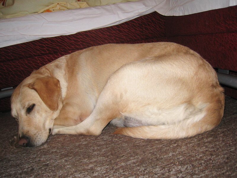 Kika bábätko