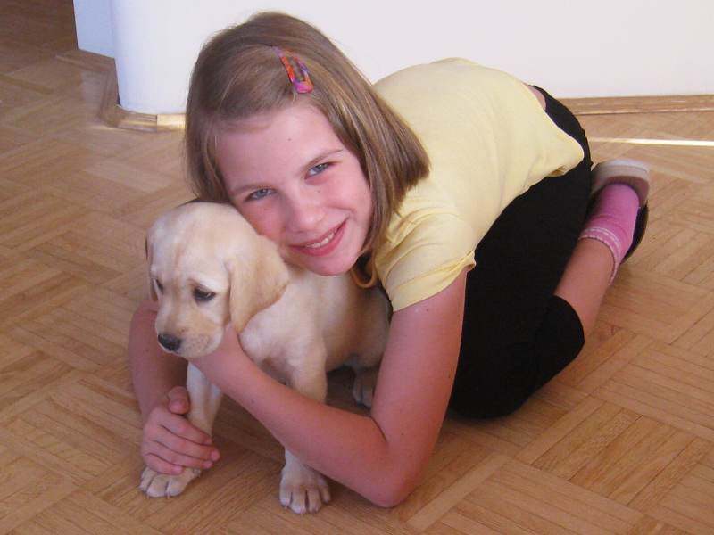Danka a fialová