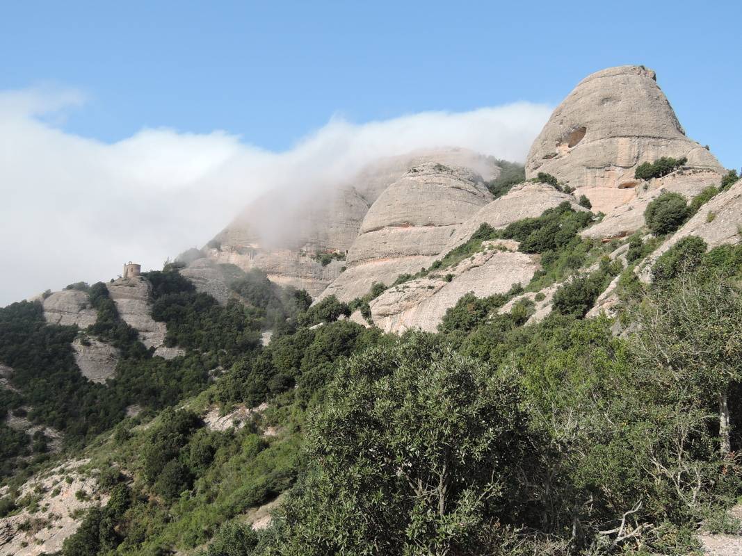 Sant Joan a Sant Onofre