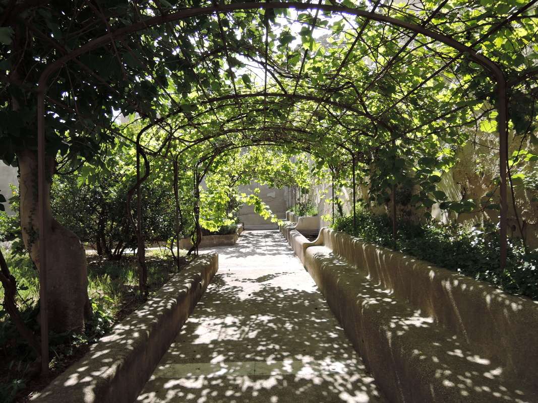 Capri - Kartuziánsky kláštor - figová pergola