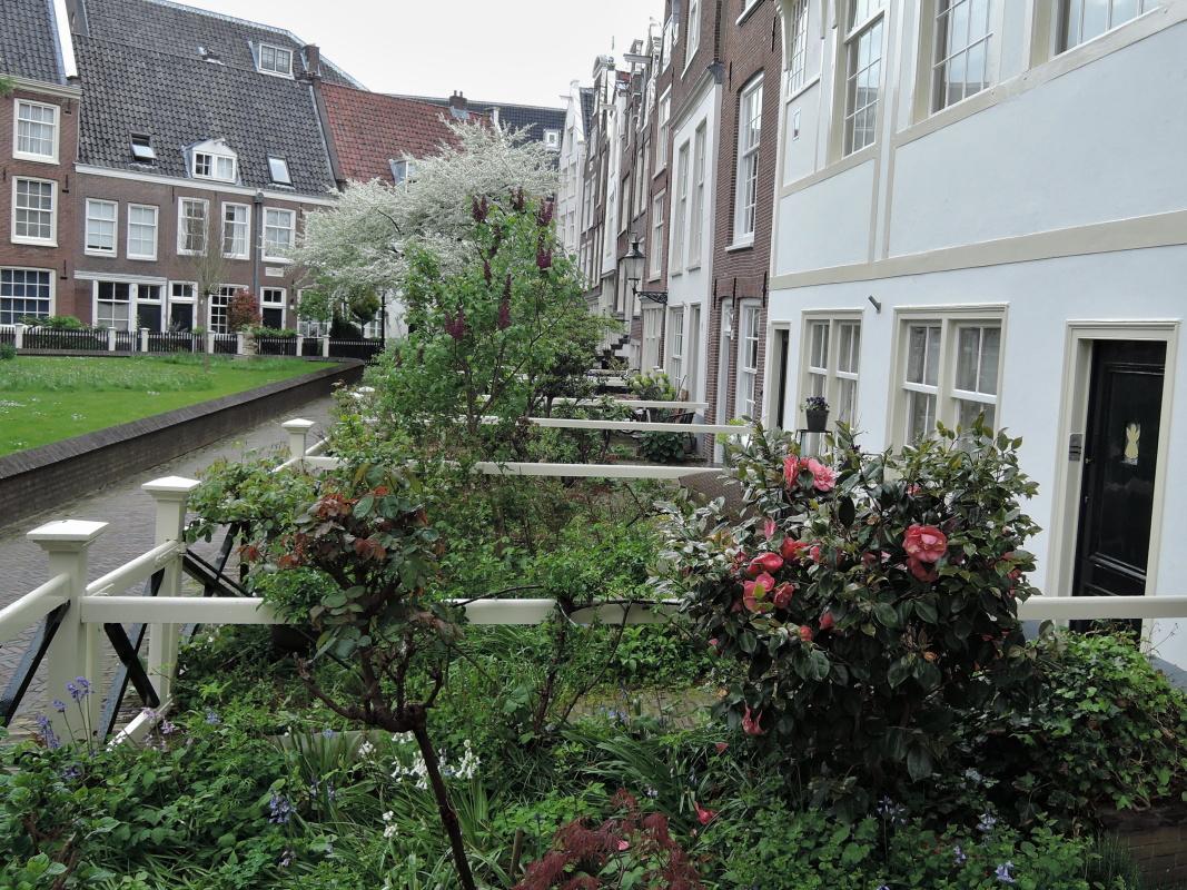Begijnhof