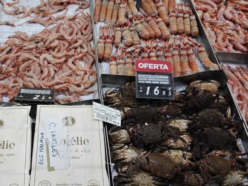 Morské príšery v El Corte Inglés