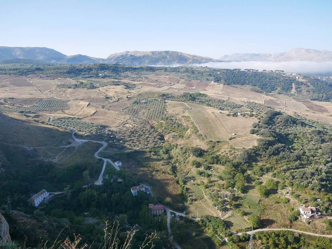Alameda del Tajo - výhľad na údolie pod Rondou