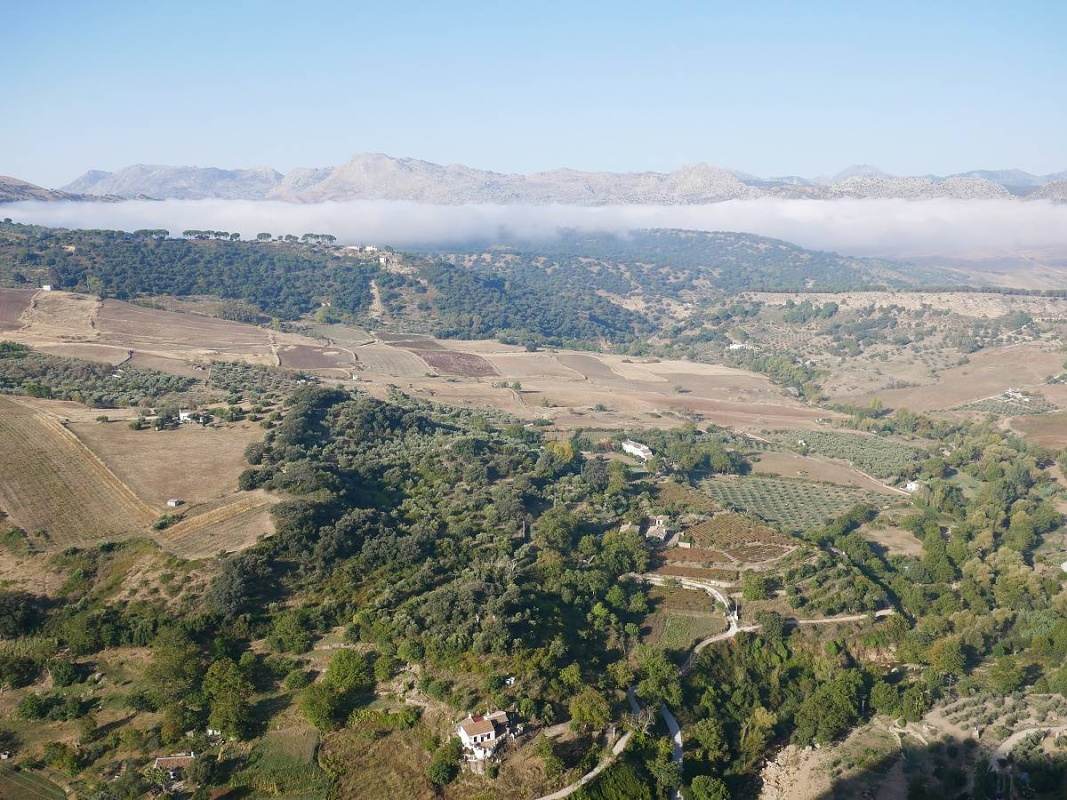 Alameda del Tajo - výhľad na údolie pod Rondou
