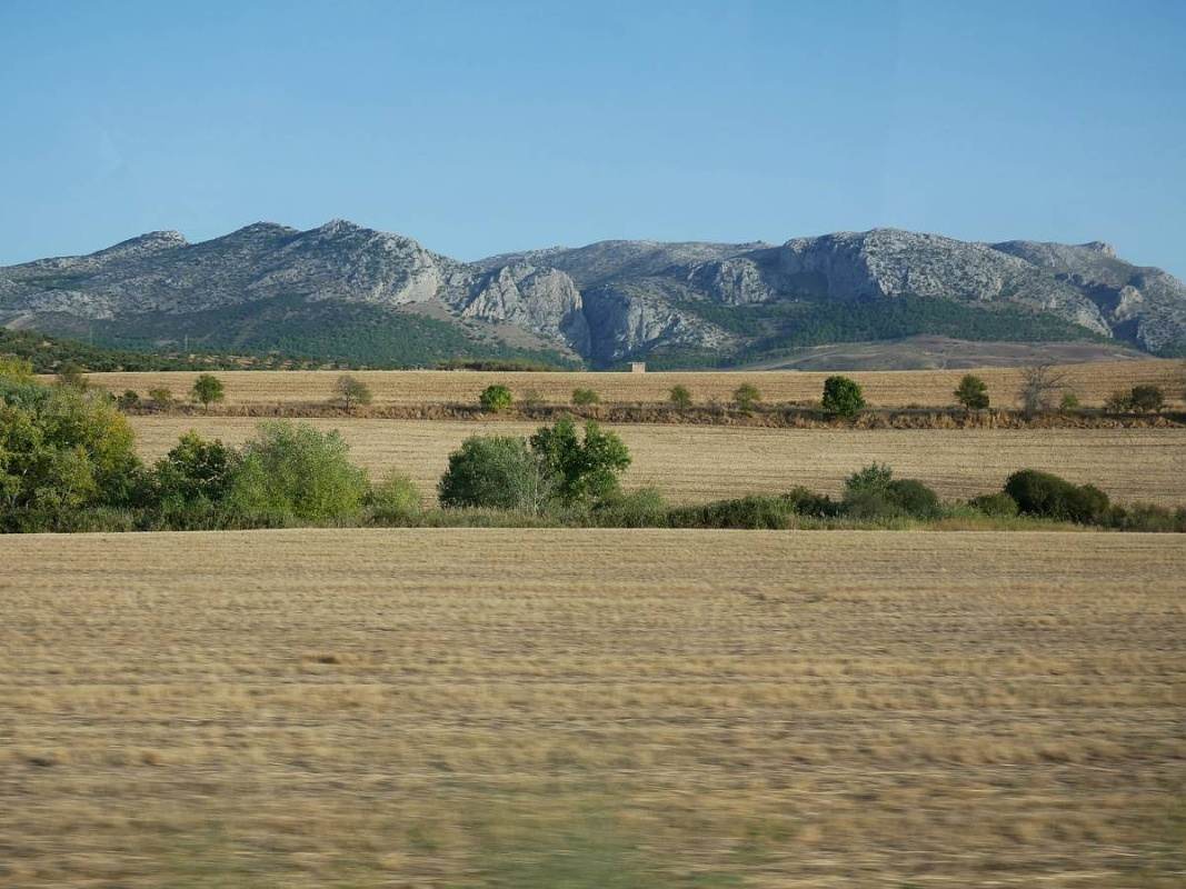 Krajina po ceste do Malagy - olivové háje a skaly