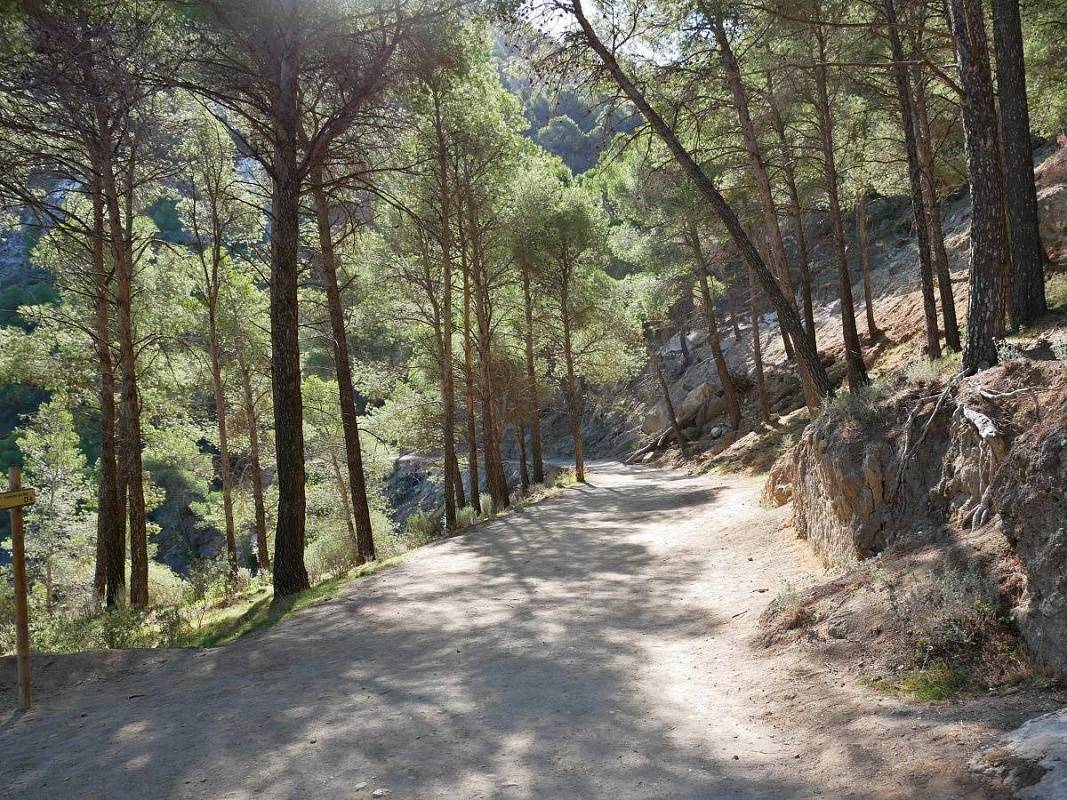 Cesta k platenej časti Caminita
