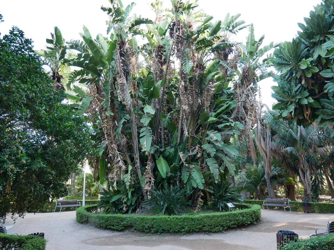 Mestský park v Malage