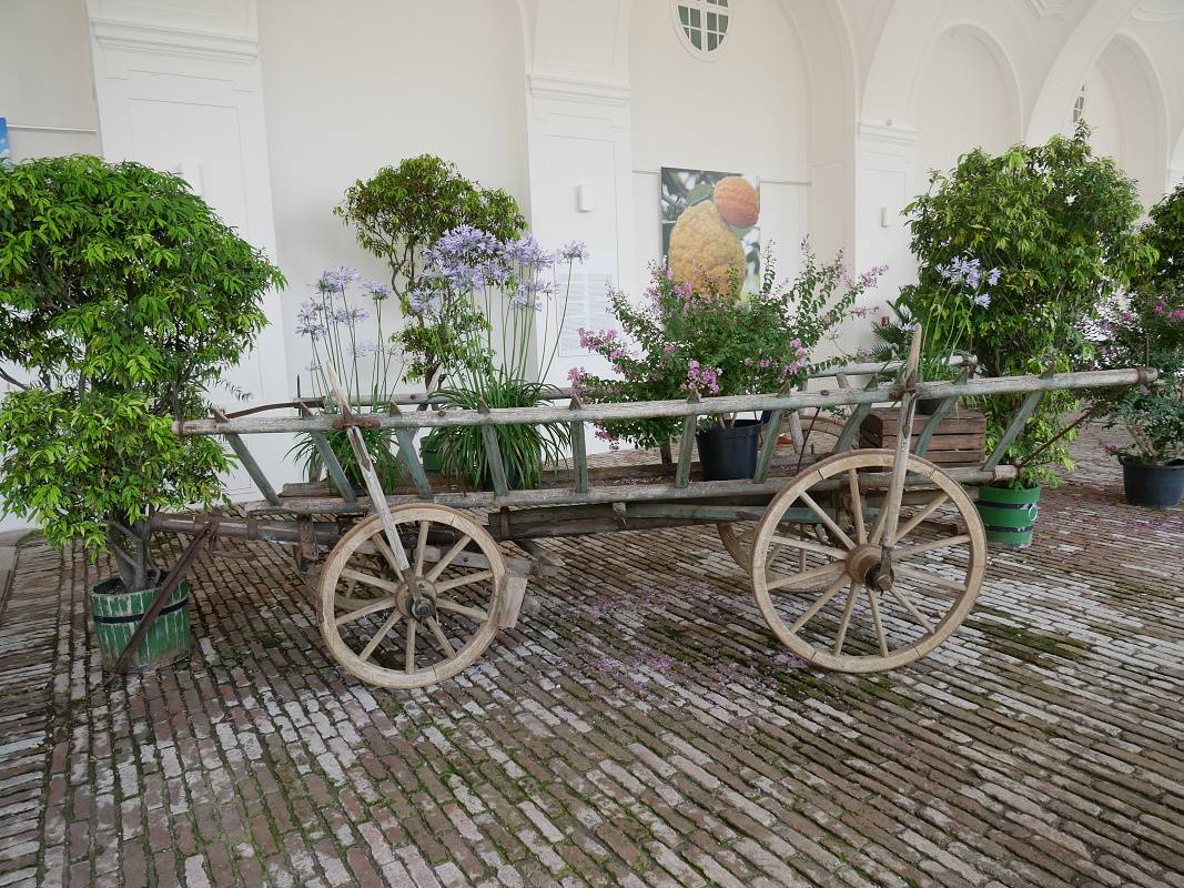 Schönbrunn - Orangerie