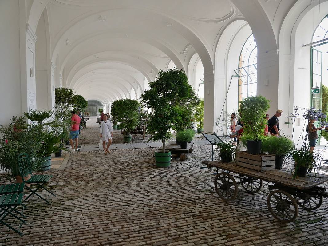 Schönbrunn - Orangerie