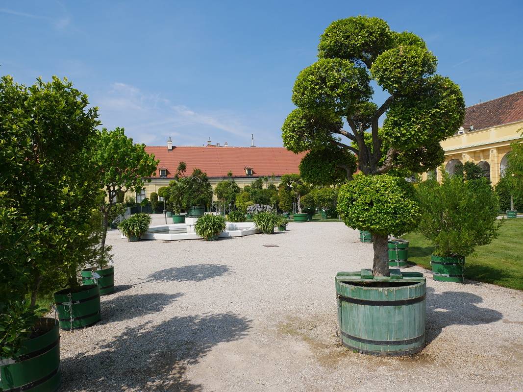 Schönbrunn - Orangerie