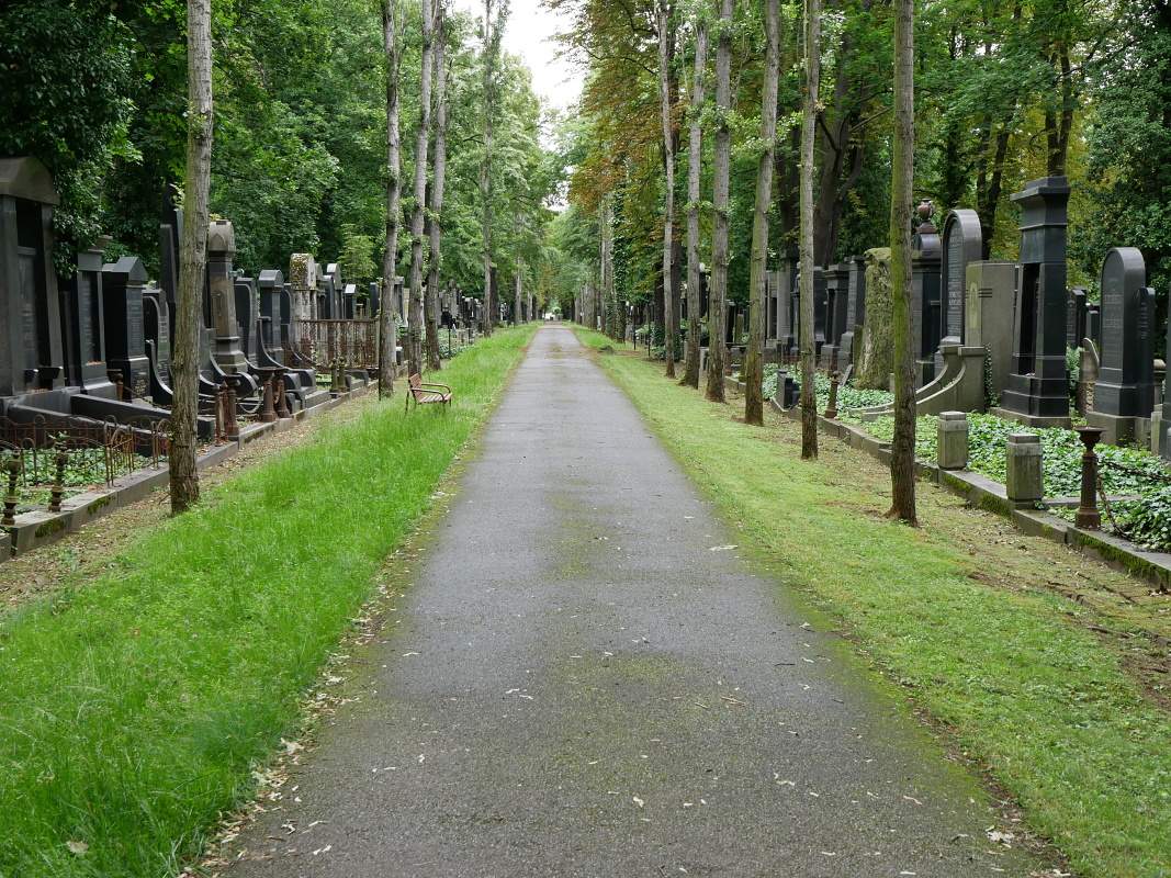 Židovský cintorín na Žižkove