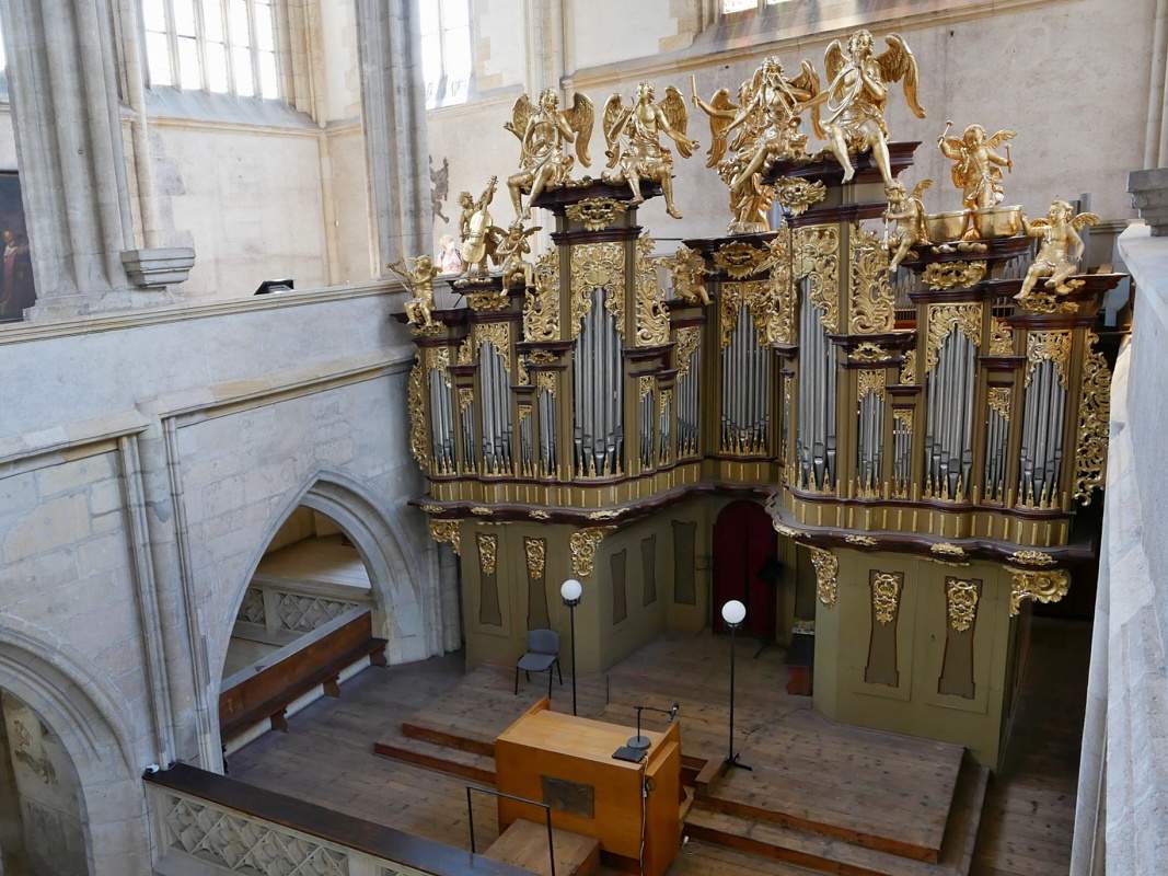 Chrám sv. Barbory - organ na dosah
