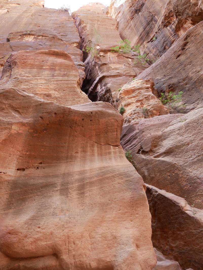 Siq