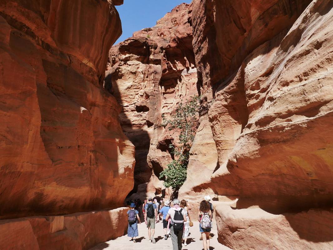 Siq