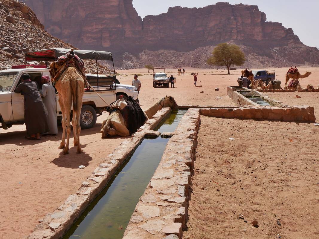 Lawrencov prameň - ten strom vzadu je aj na google mapách ako Wadi Rum Tree