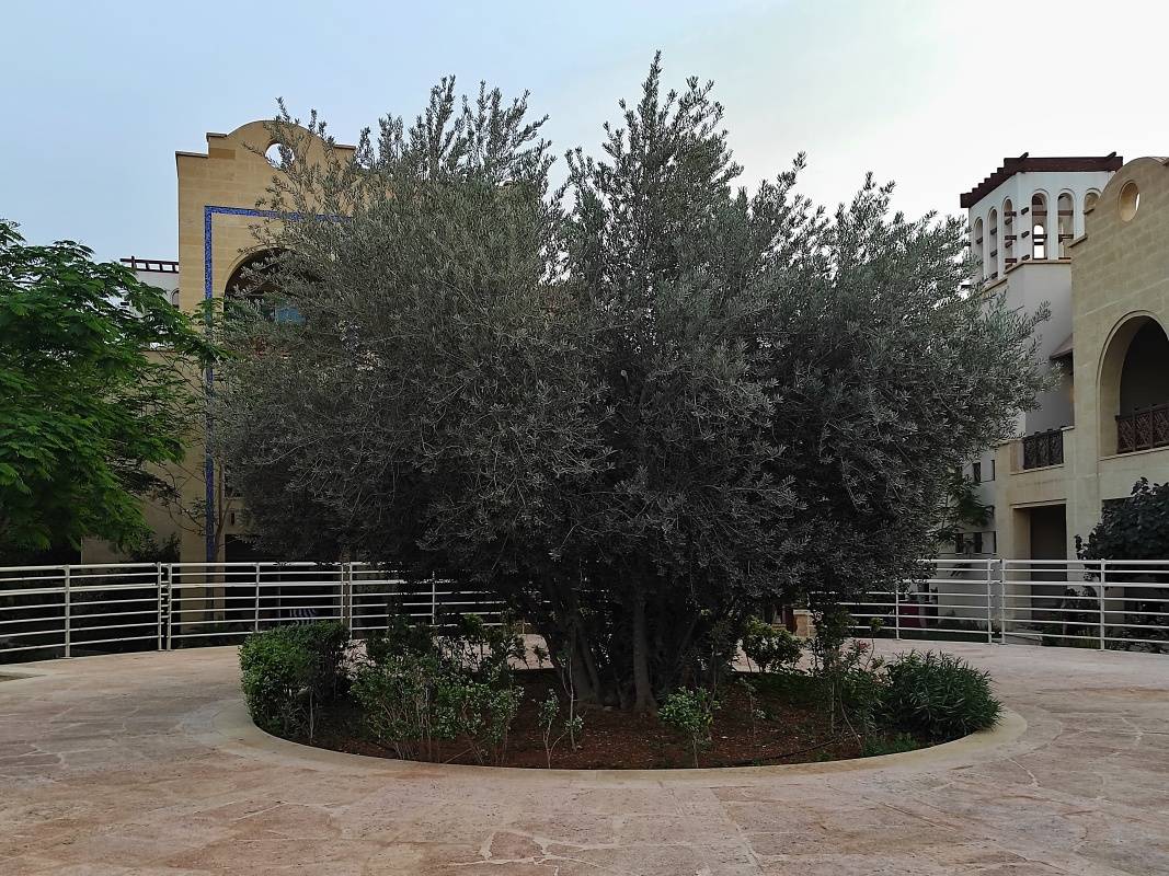 Hotel Crowne Plaza