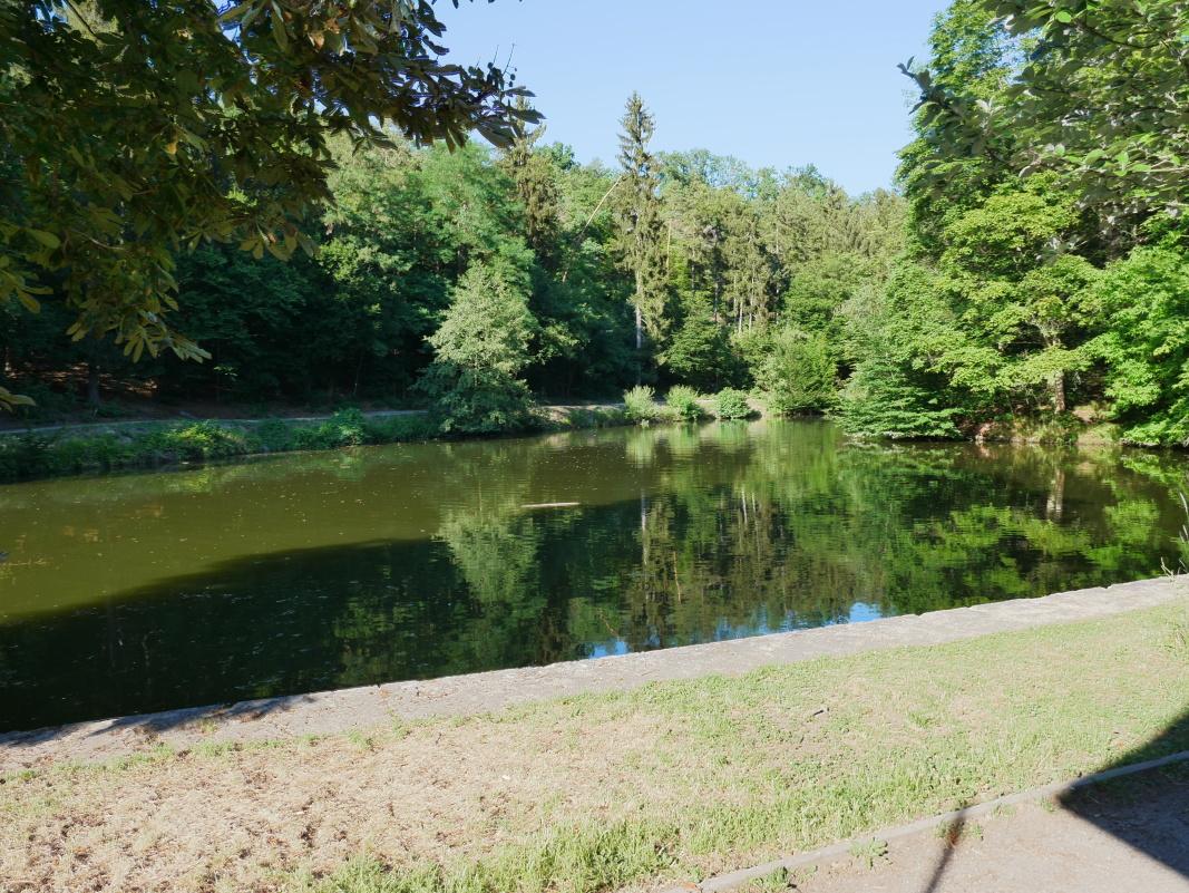 Kunratice - Dolnomlýnsky rybník