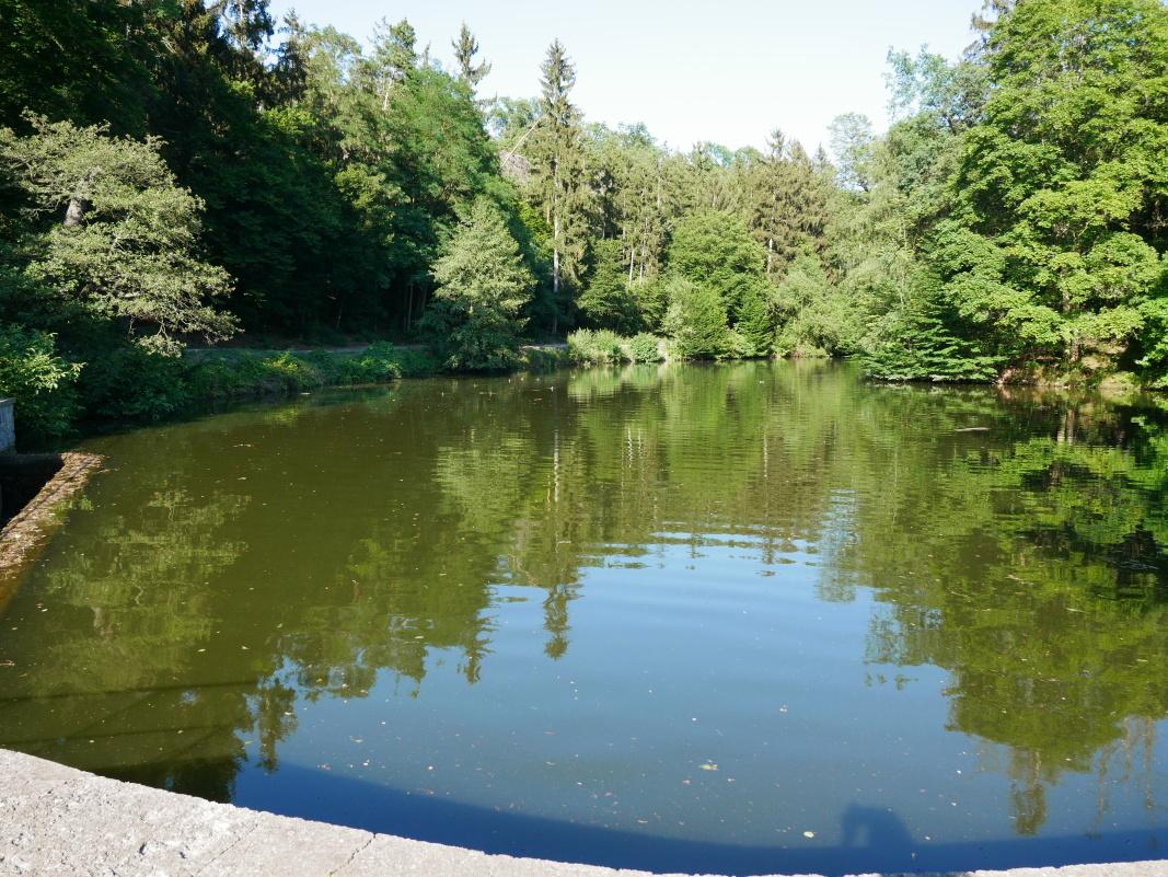 Kunratice - Dolnomlýnsky rybník