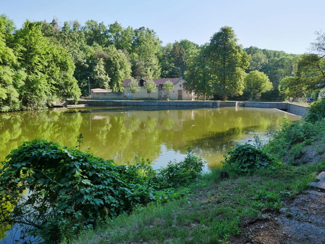 Kunratice - Dolnomlýnsky rybník