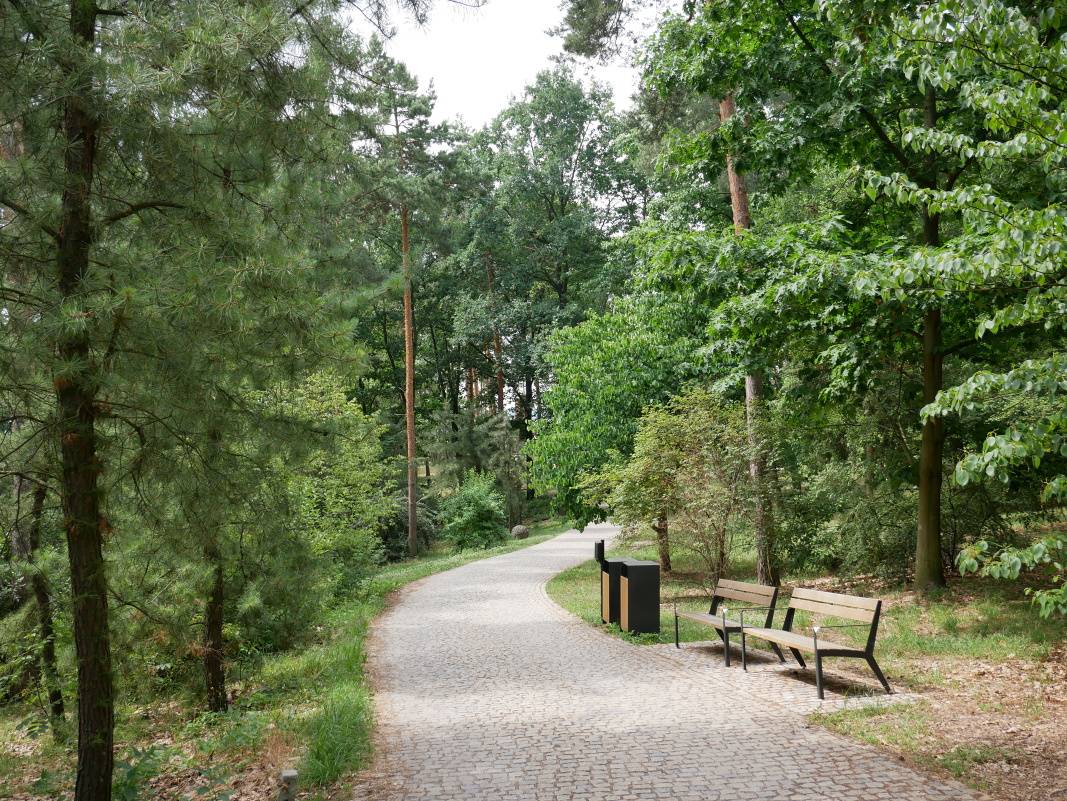 Pinetum