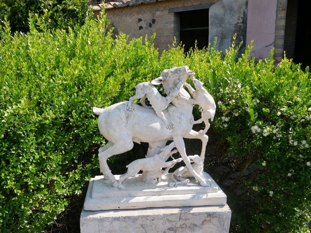 Casa dei Cervi - Dom jeleňov