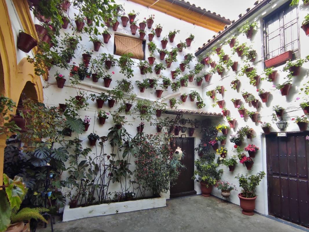 Prvé patio