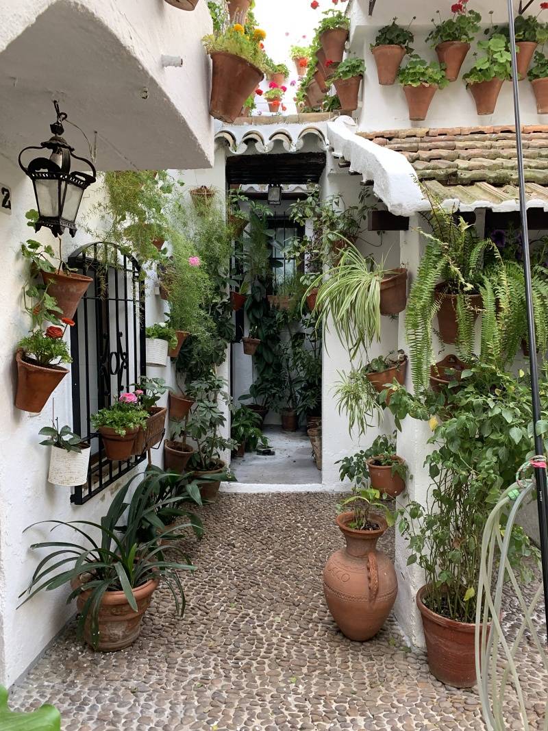 Druhé patio